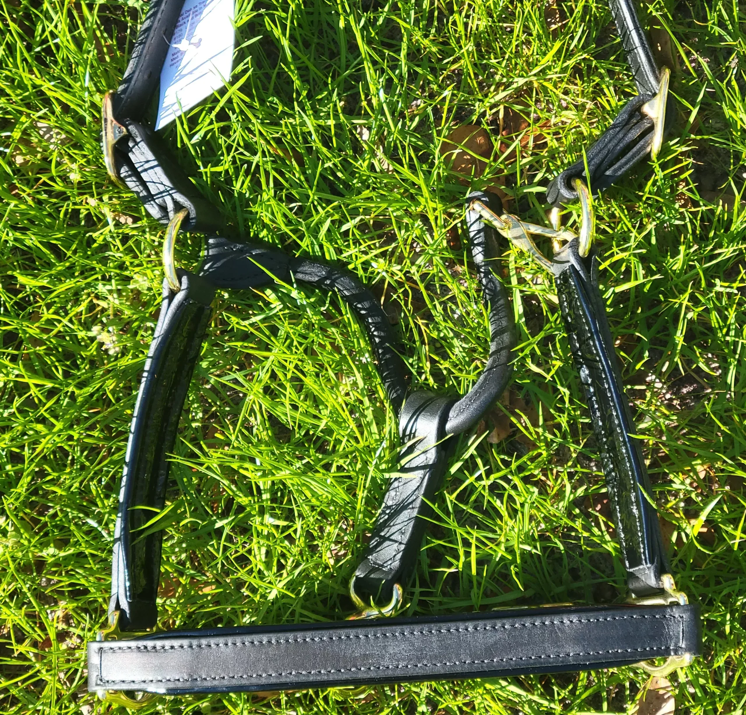 Griffinbrook padded halter rolled throat, patent trim