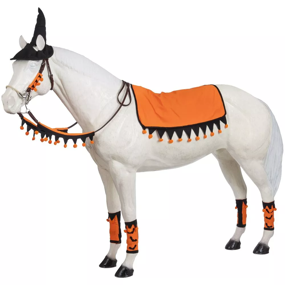 HALLOWEEN 5PC WESTERN SET