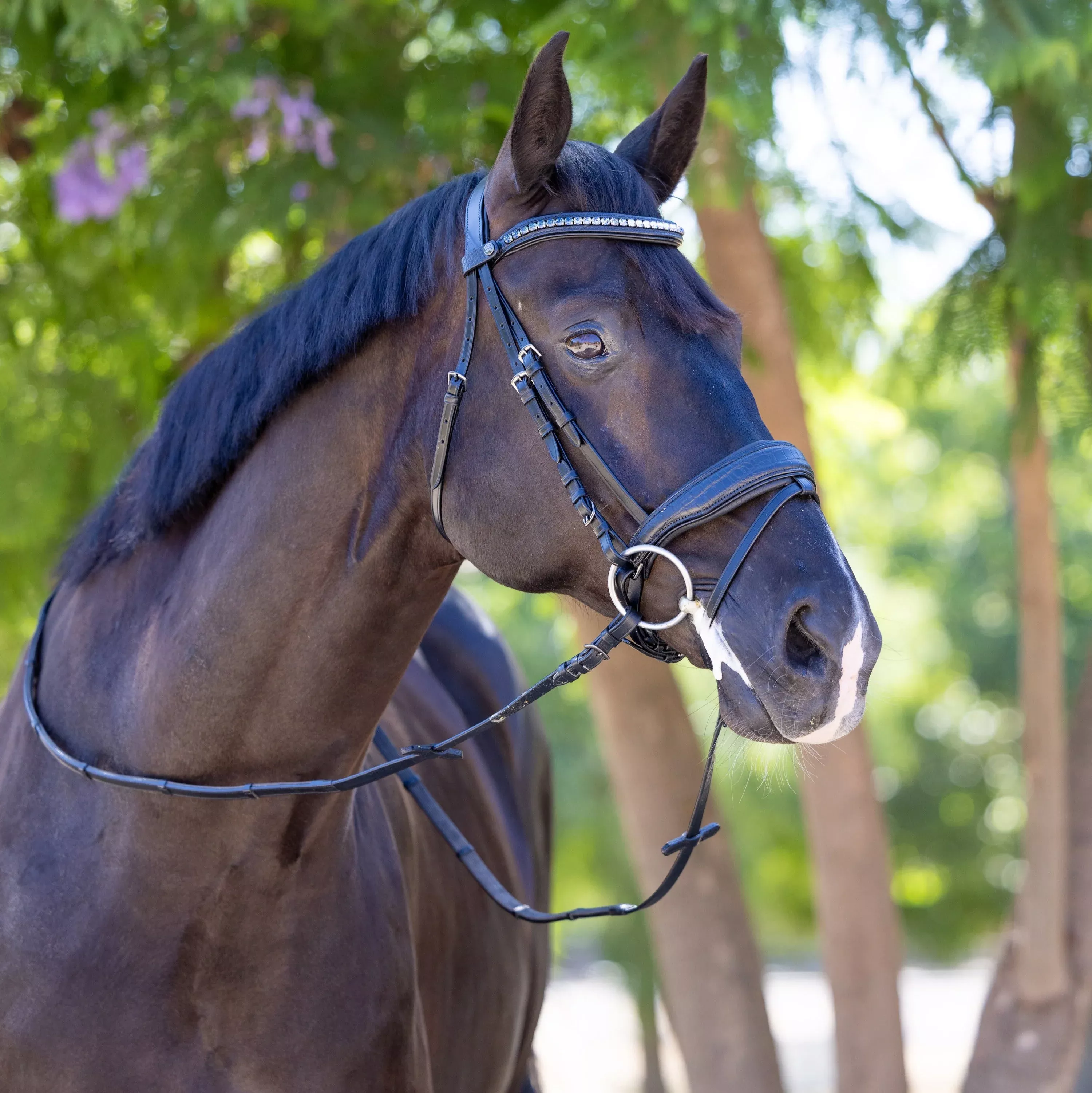 Halter Ego - Doc Marten Black Leather Snaffle Bridle with Removable Flash