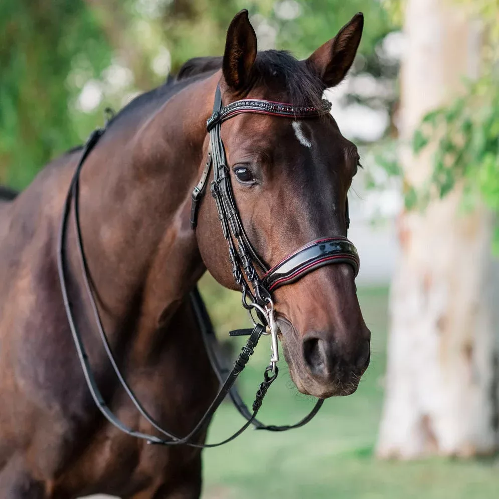 Halter Ego - The Hayworth Double - Black Patent Double Bridle