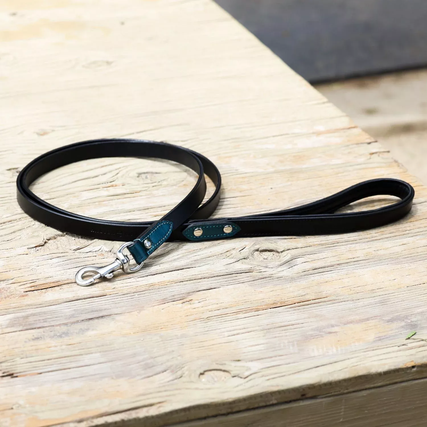 Halter Ego Metallic Teal Dog Leash