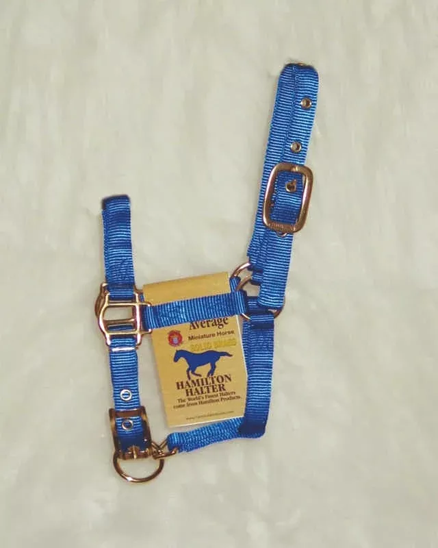 Hamilton Miniature Horse Halter
