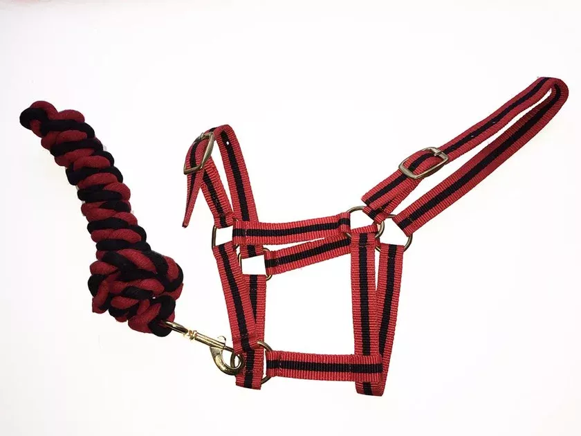Harlequin Headcollar And Rope Set CLEARANCE