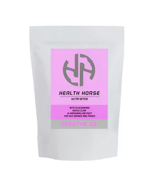 Health Horse GERIATRIC GG Nutri-Bites