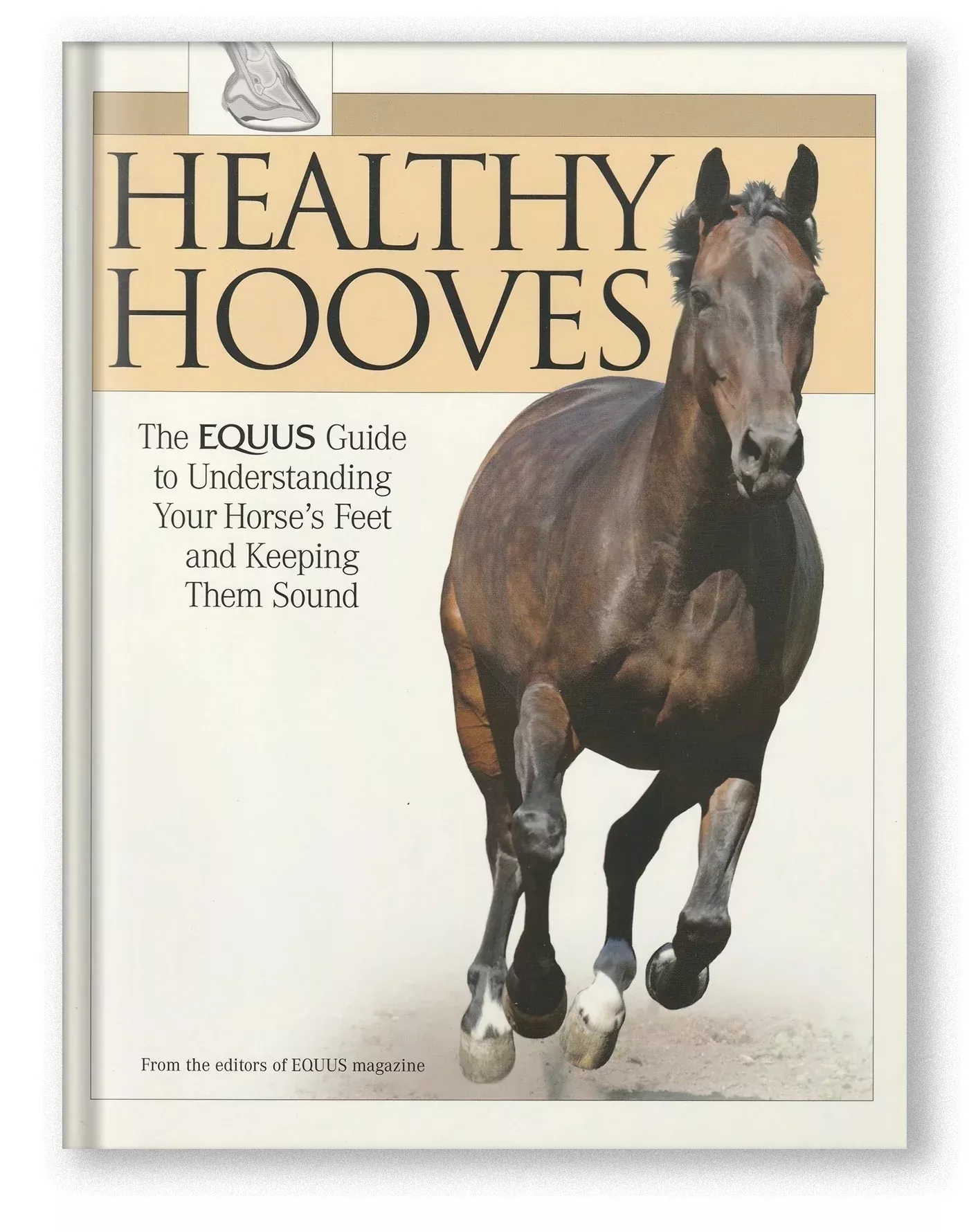 Healthy Hooves