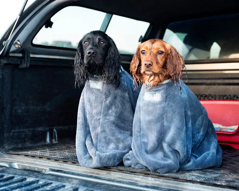 Henry Wag Microfibre Dog Drying Bag