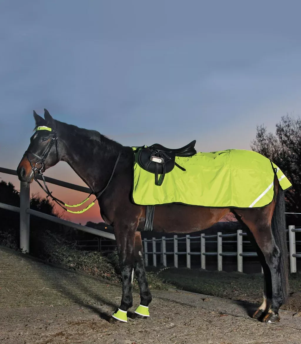 Hi-Viz Exercise Sheet