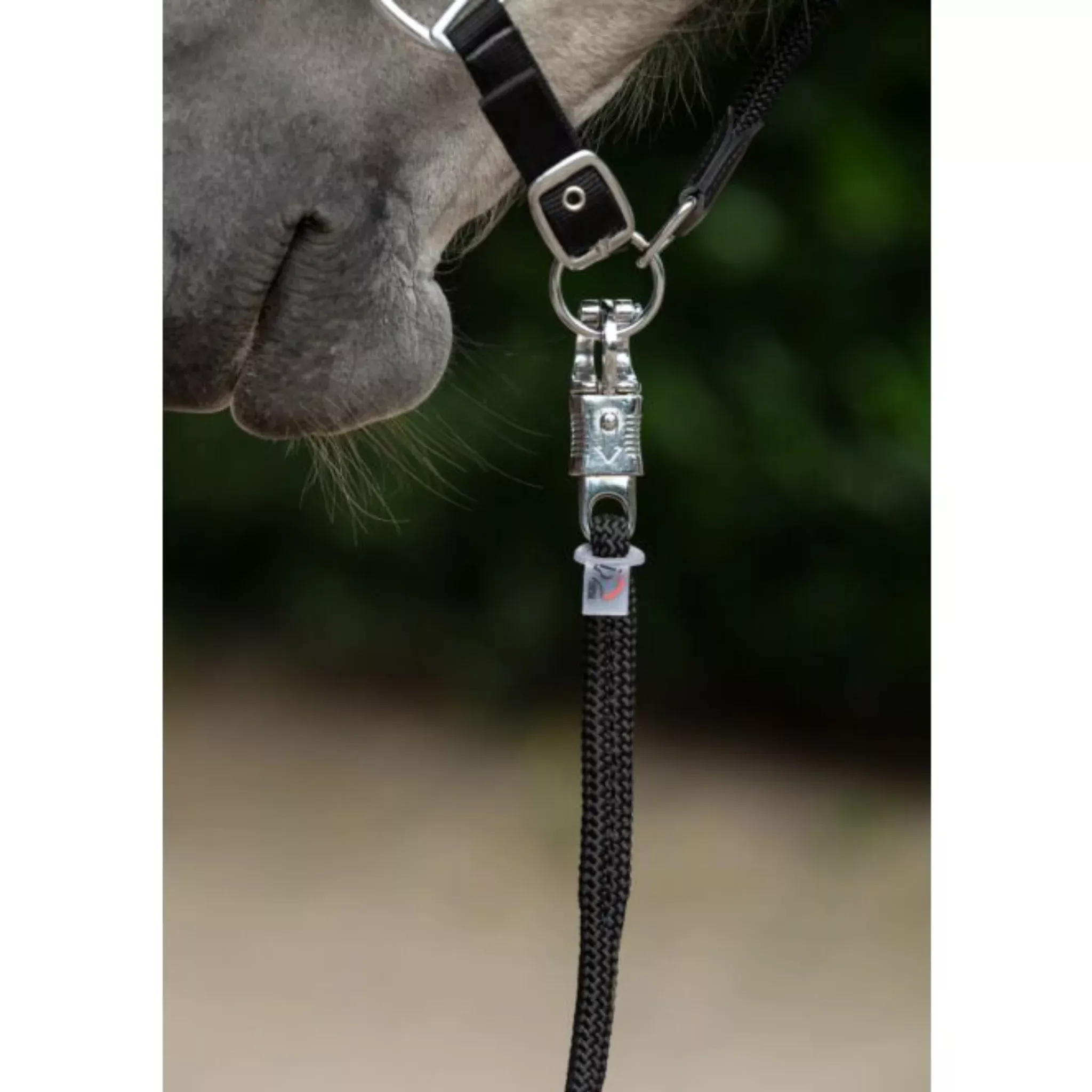 HKM Carlotta Lead Rope