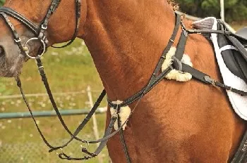 HKM Leather Five Point Breastplate