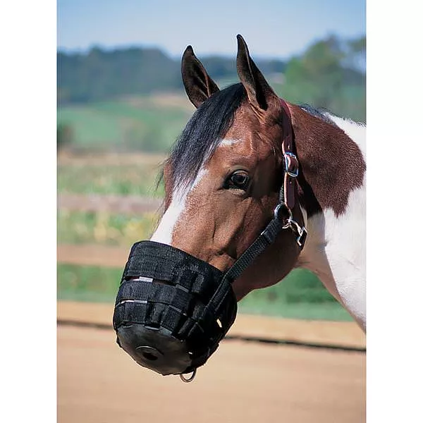 Horse Grazing Muzzle