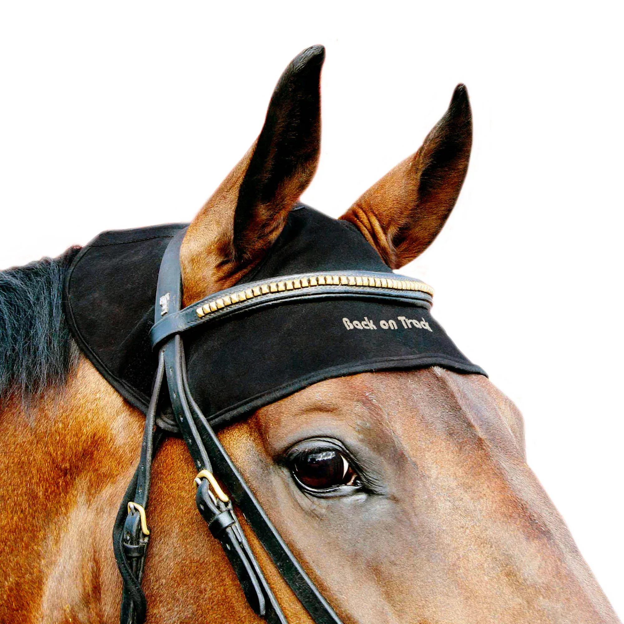 Horse Head Cap