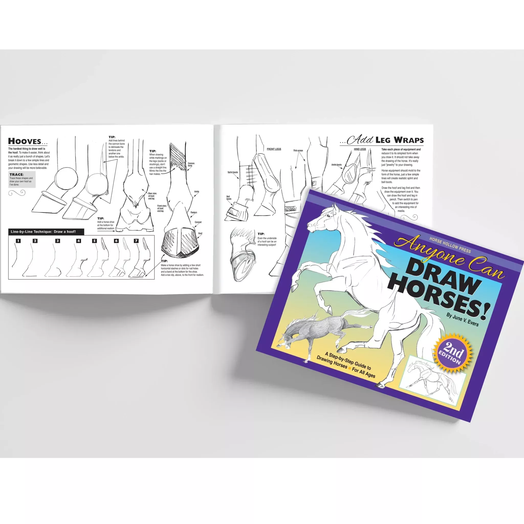 Horse Hollow Anyone Can Draw Horses Book