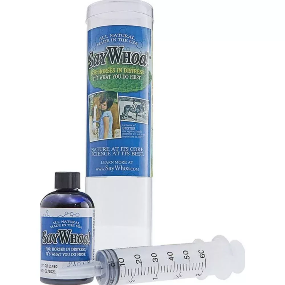 Horse Sense Solutions SayWhoa