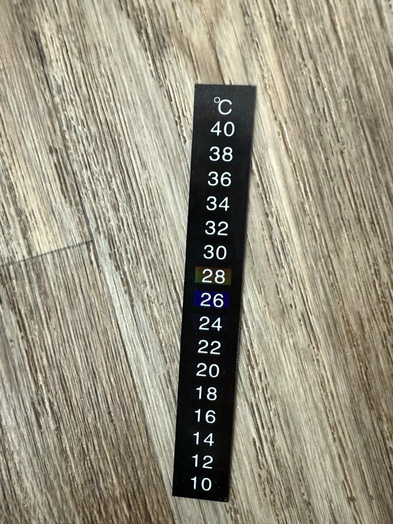 Horse Temperature Gauge Sticker (10°C - 40°C)