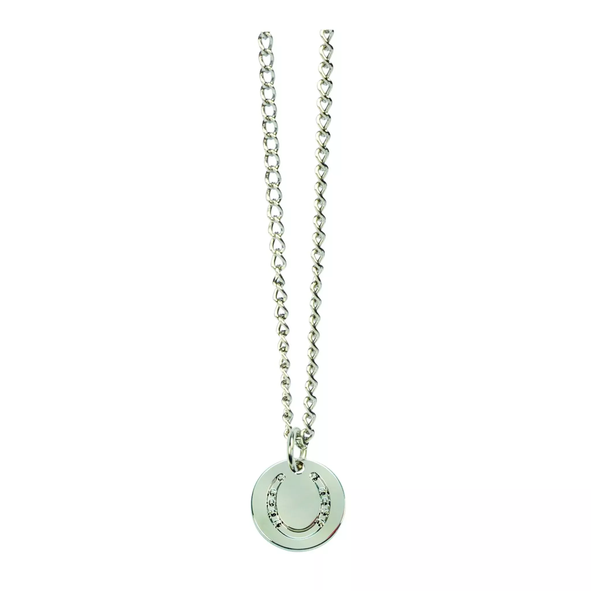 Horseshoe Pendant Necklace