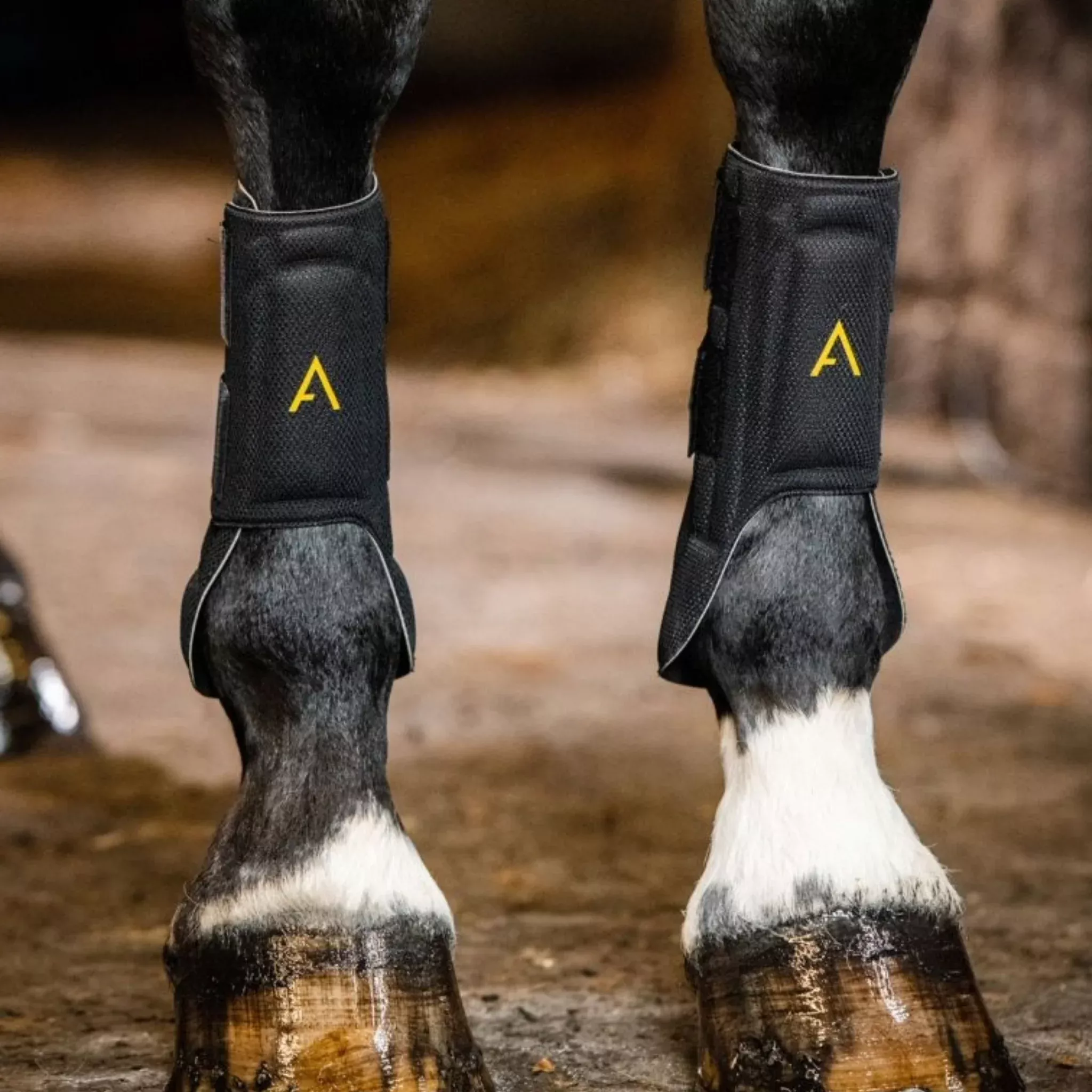 Horseware Adagio All Around Boot