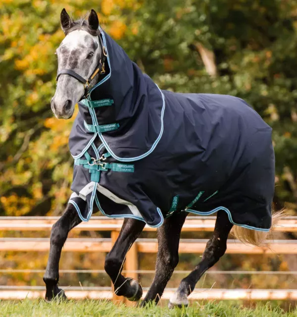 Horseware Amigo Bravo 12 Plus Medium with Hood