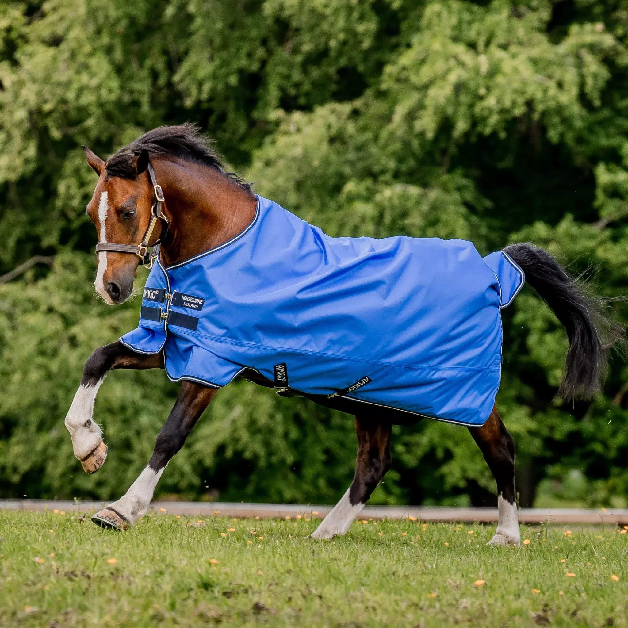 Horseware Amigo Hero Ripstop Lite 0g Rug