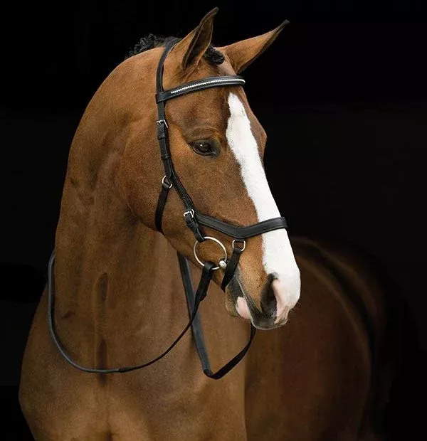 Horseware Rambo Micklem Diamante Competition Bridle