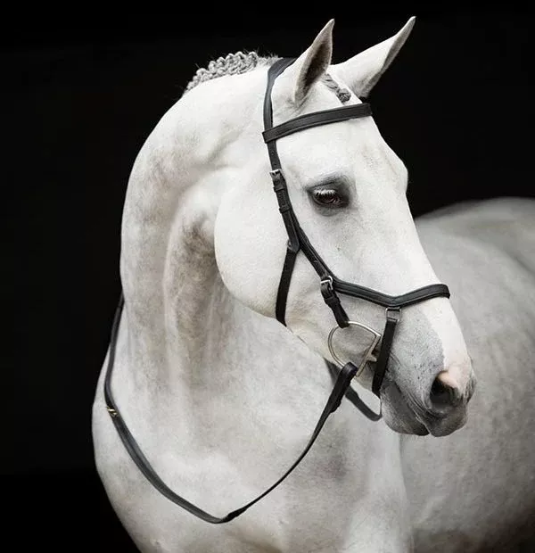 Horseware Rambo Micklem Original Competition Bridle