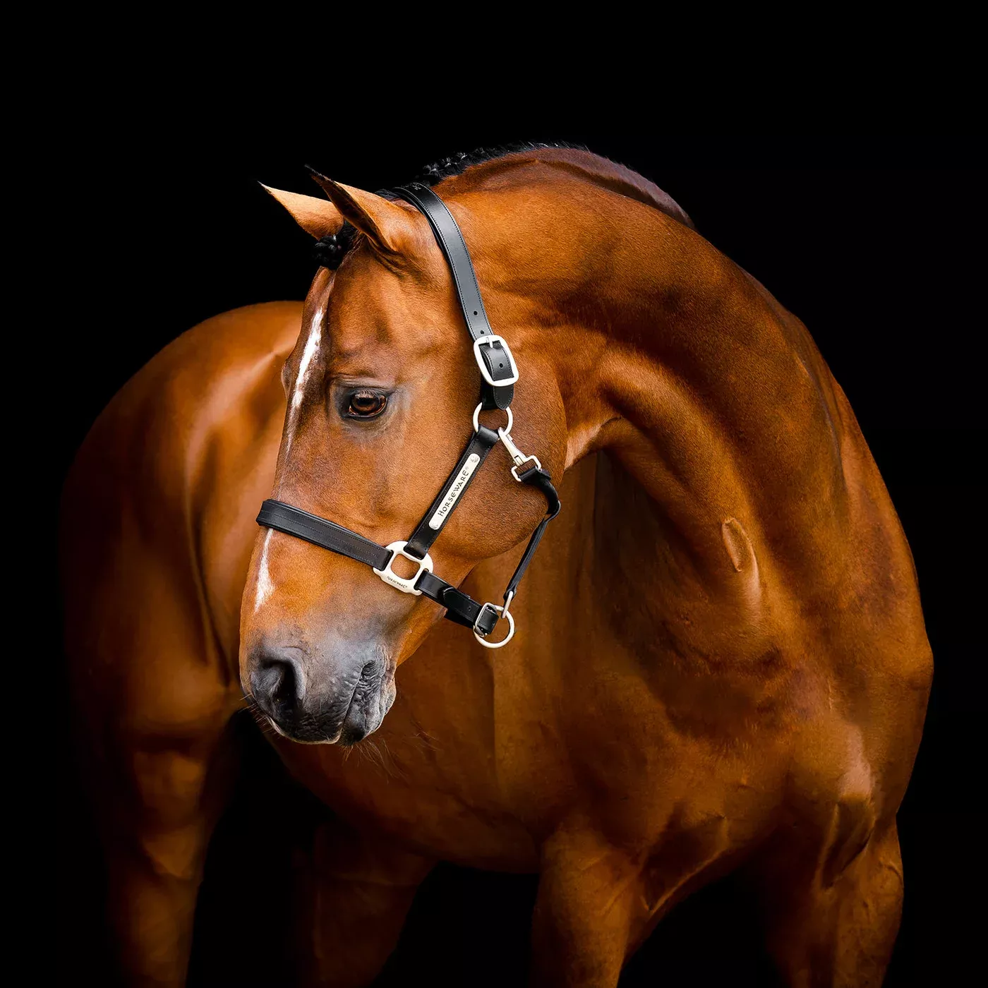 Horseware Signature Leather Halter
