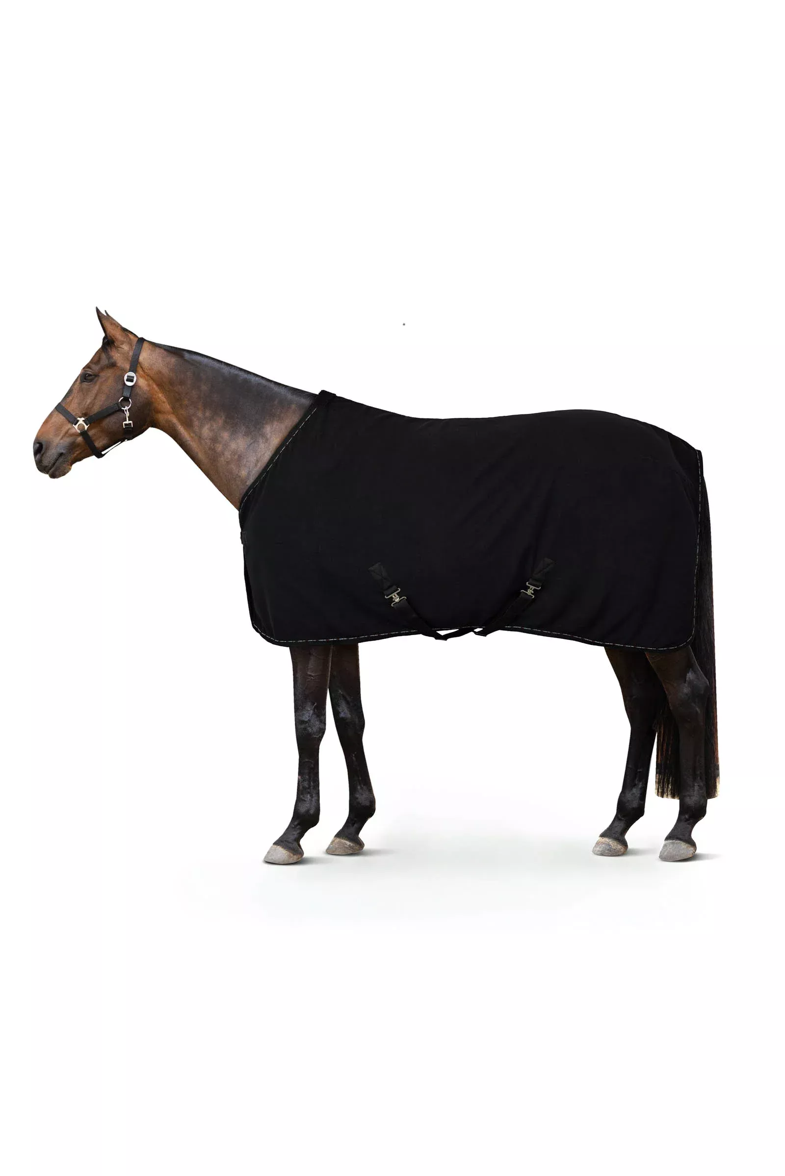 Horze Cairo Infrared Therapy Cooler - Anthracite Dark Gray