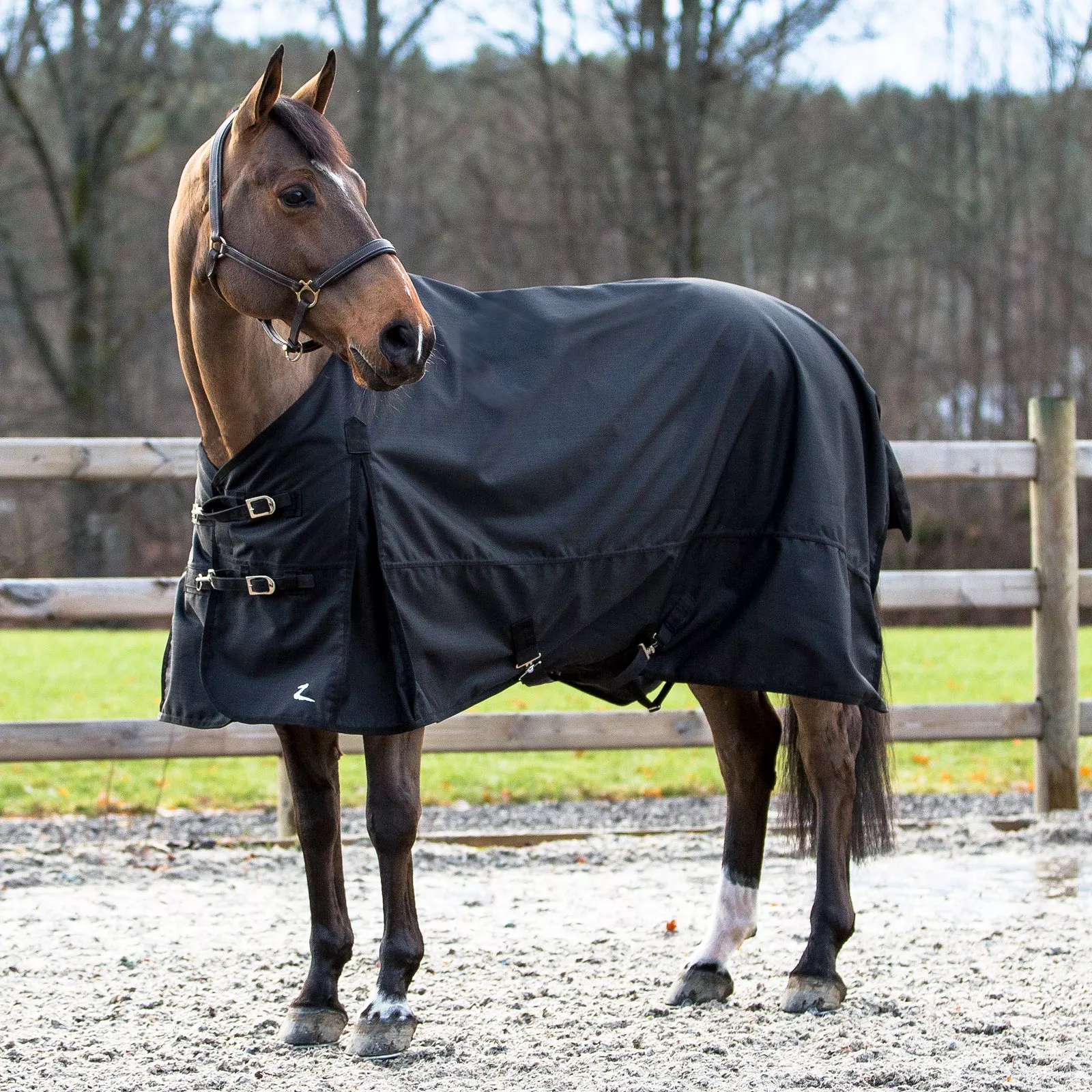 Horze Nevada Light Weight Turnout Sheet - Black