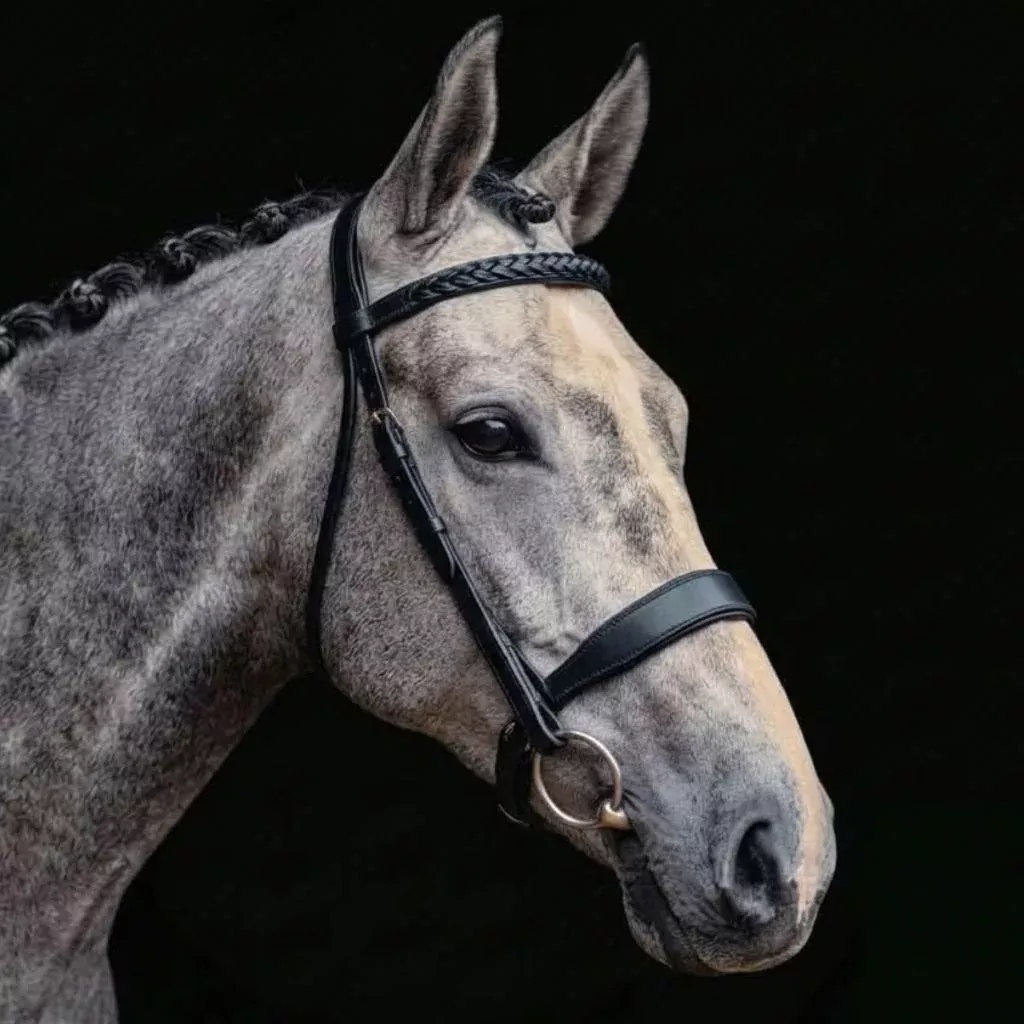 Hunt Bridle 2 Browbands