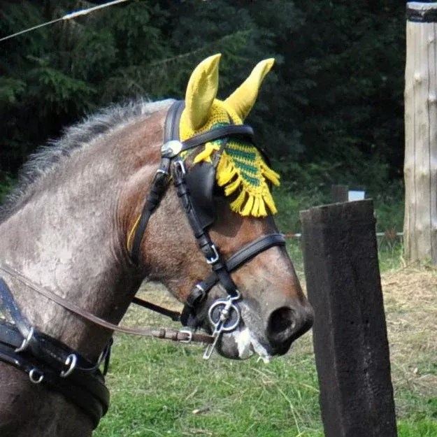 Ideal Eurotech Bridle With Half Cup Blinkers
