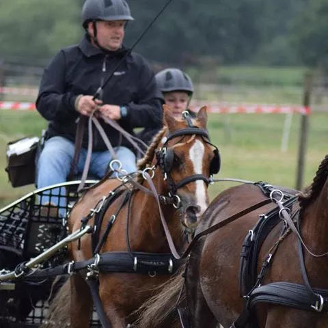 Ideal Eurotech Combi Breastplate Tandem Wheeler