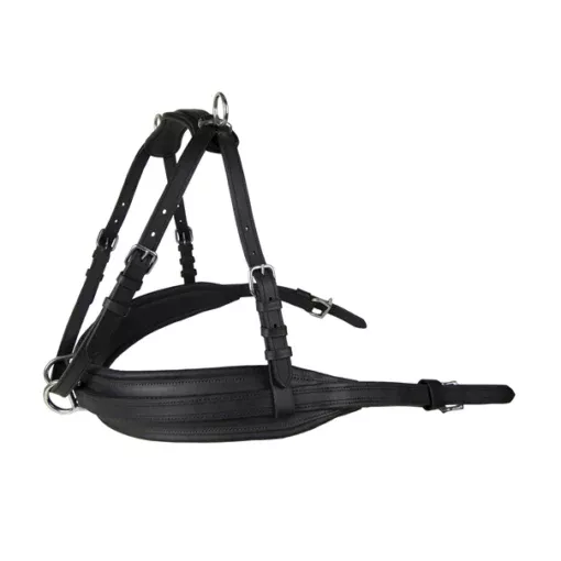 Ideal Leathertech Breastplate