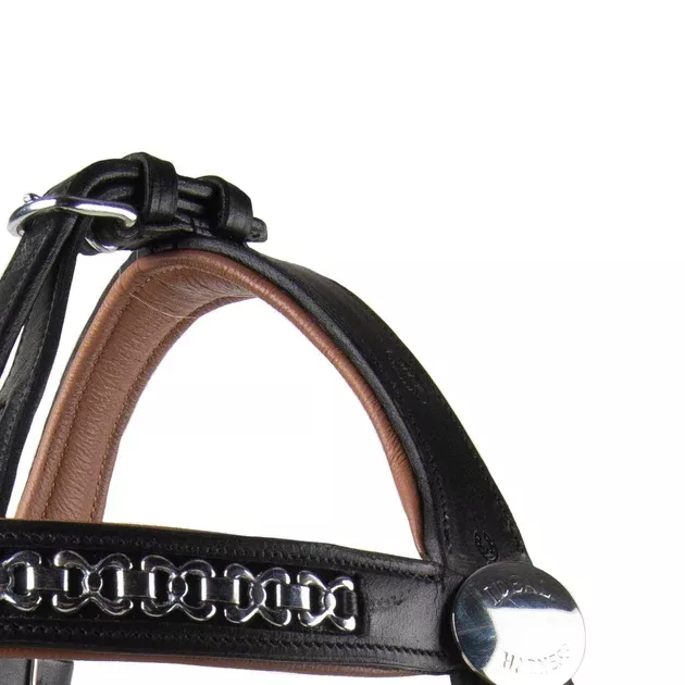 Ideal Luxe Leather Headpiece