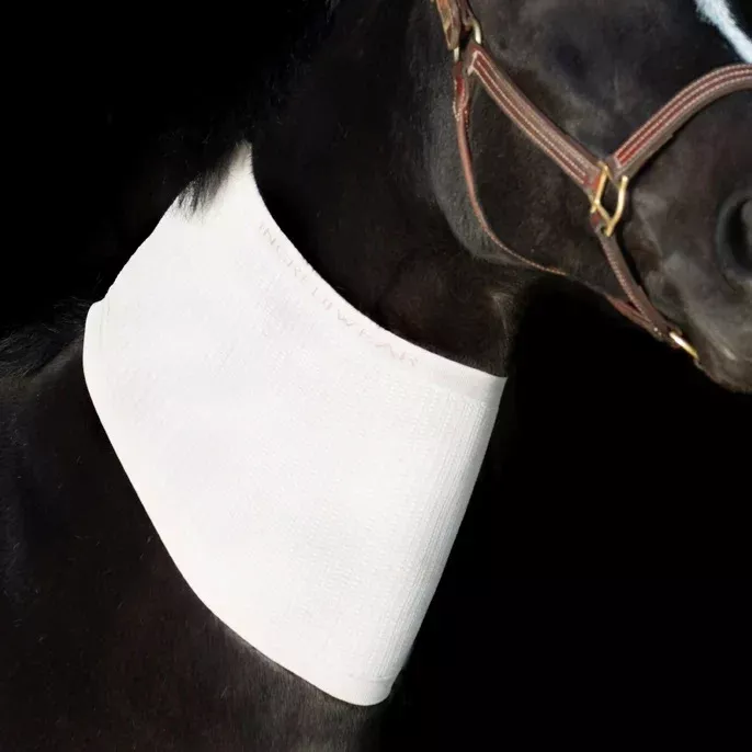 Incrediwear Equine Circulation Neck Sleeve