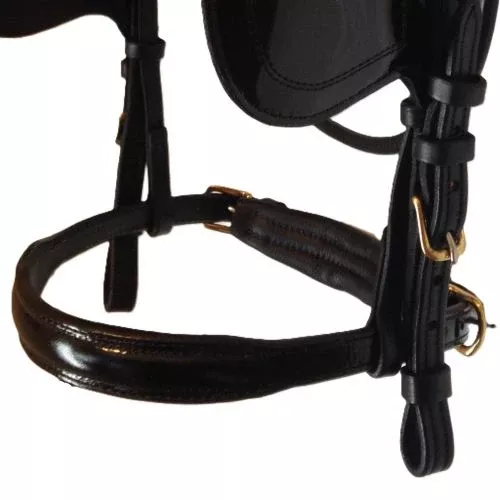 IVC Elite Leather Nose Band