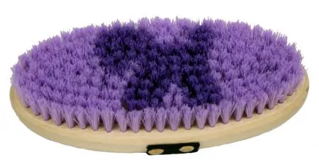 JUNIOR SIZE BODY BRUSH WITH PONY DECAL IN BRISTLES