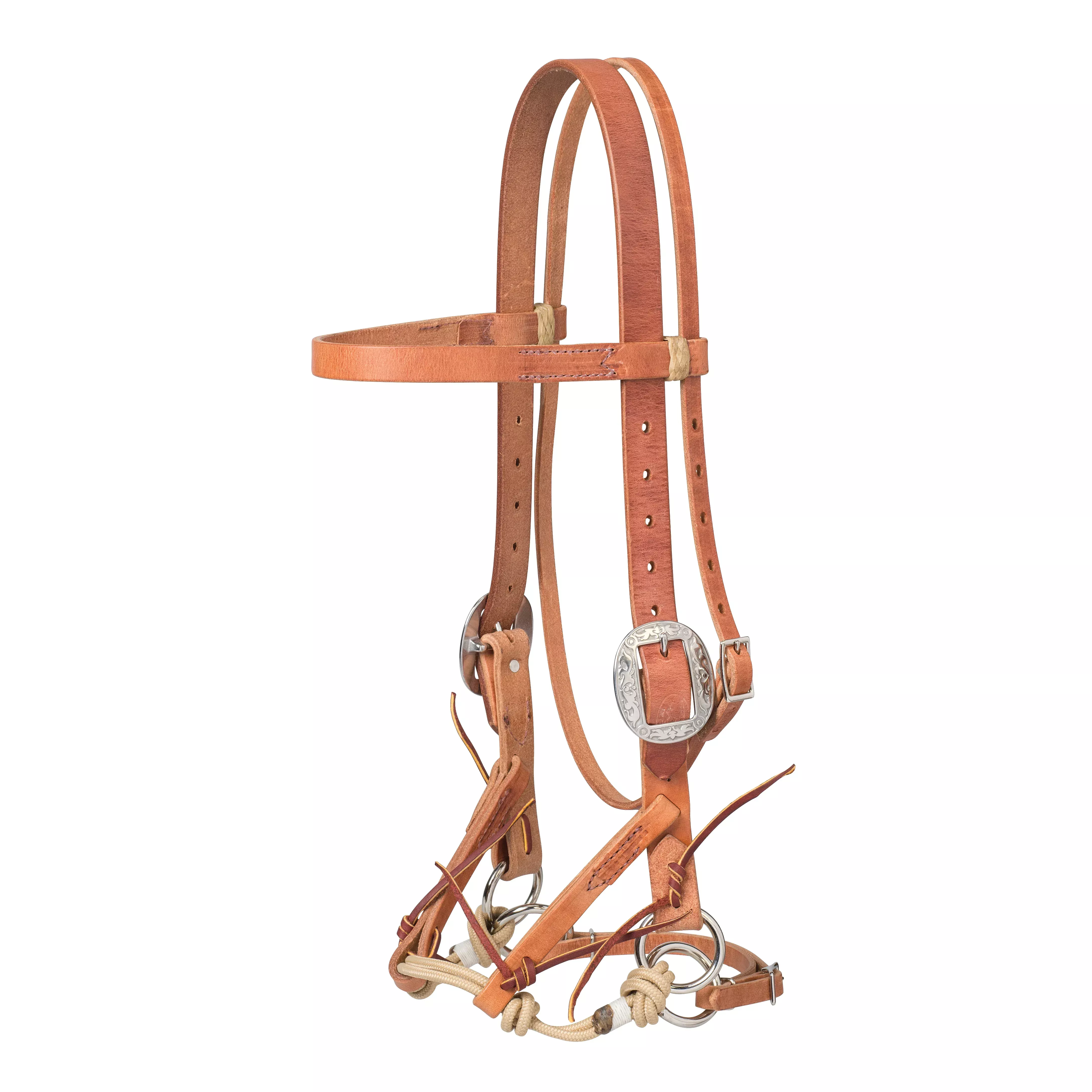 Justin Dunn Bitless Bridle, Draft