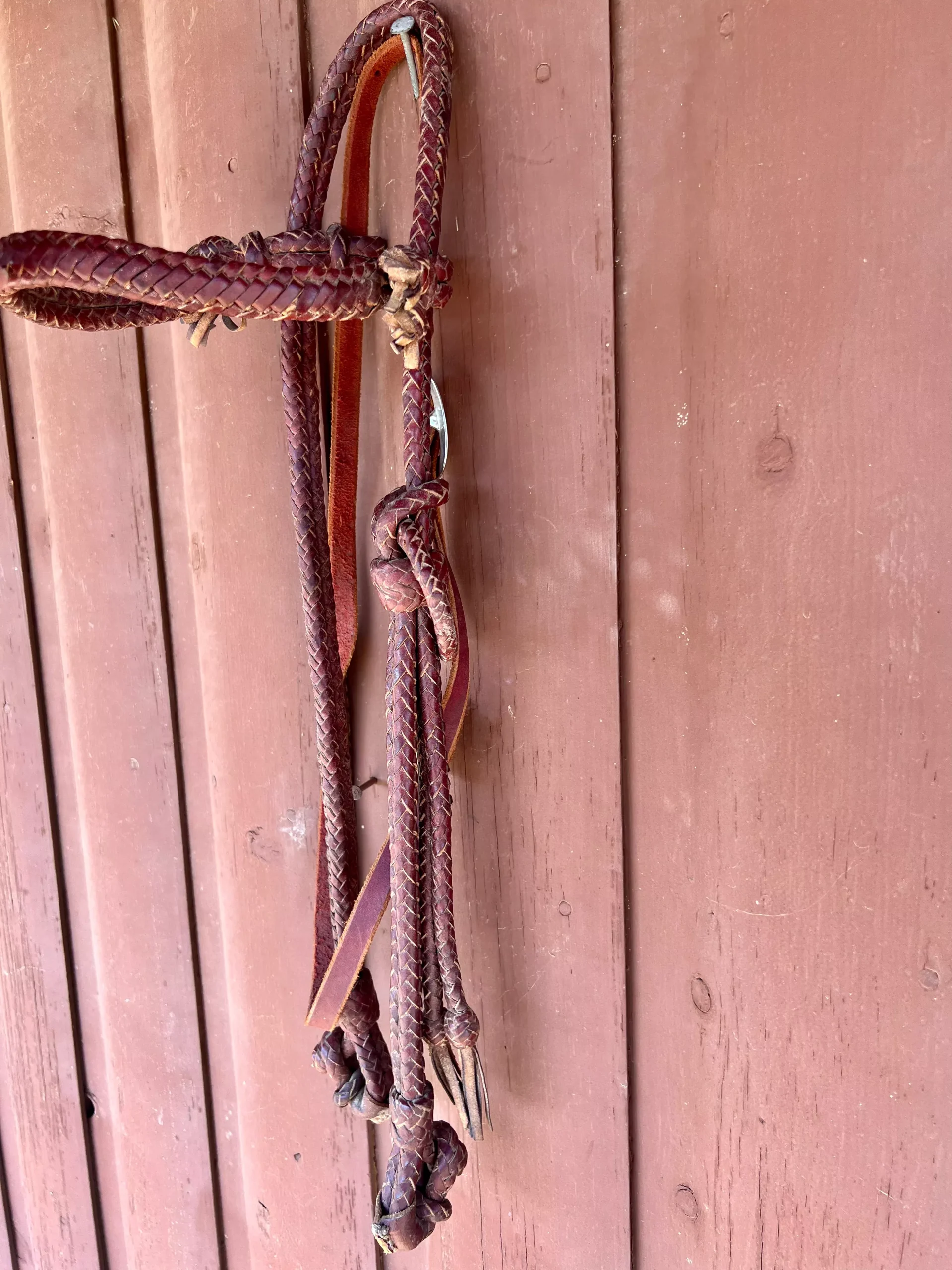 Kangaroo Leather Braided Headstall