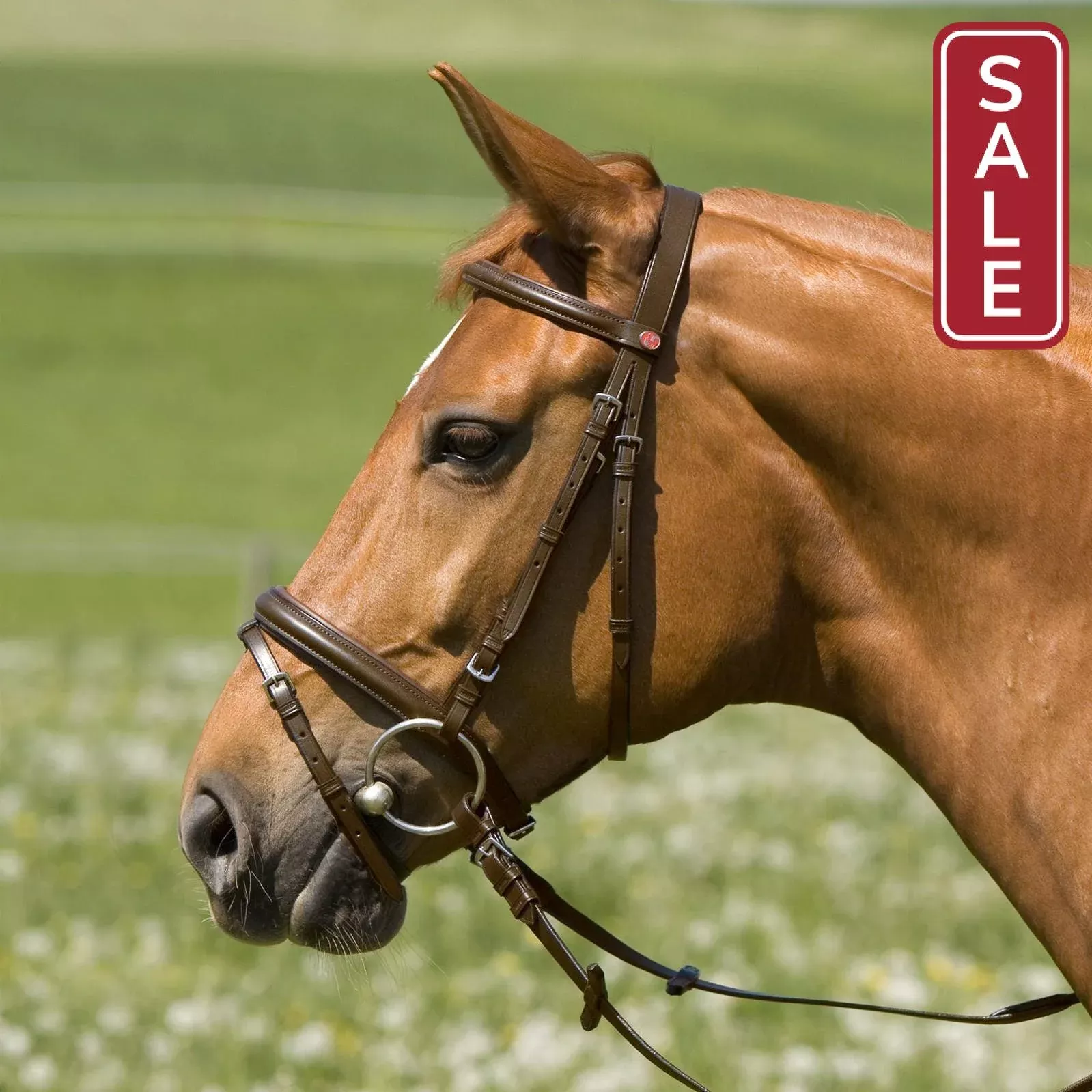 Keiffer Belinda Snaffle Bridle Draft