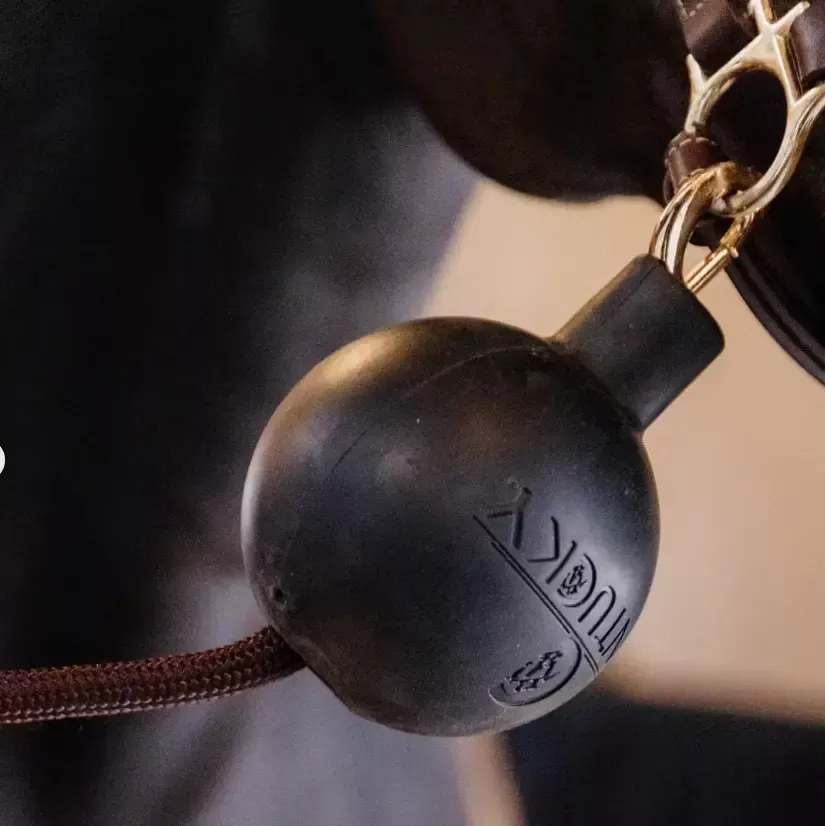 Kentucky Cross Tie Rubber Ball (Single) - Wall & Lead Protection