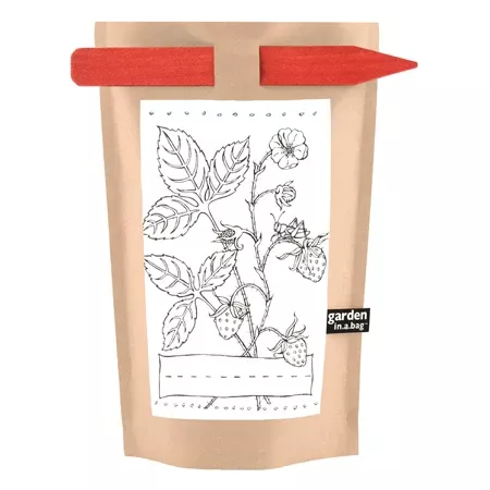 Kid's Garden-in-a -bag Strawberry