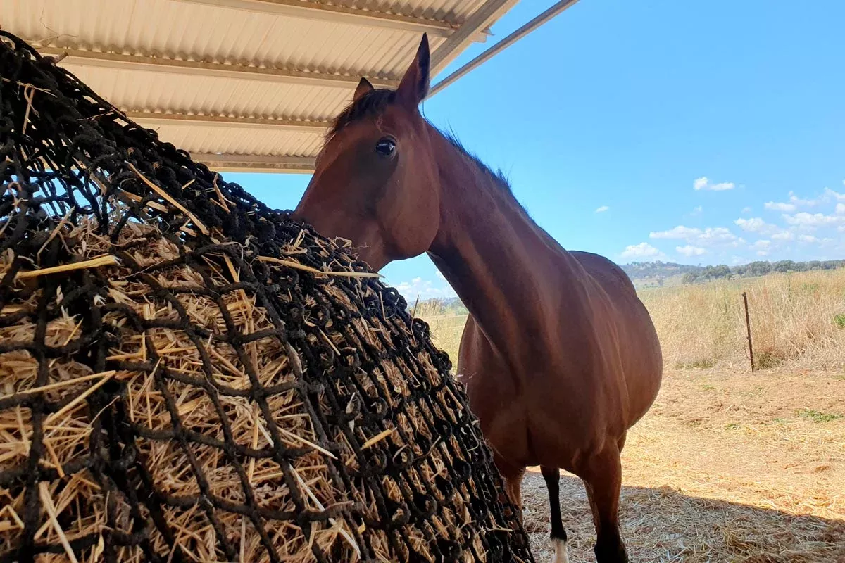 Knotless Hay Nets - 3x4 Round Bale