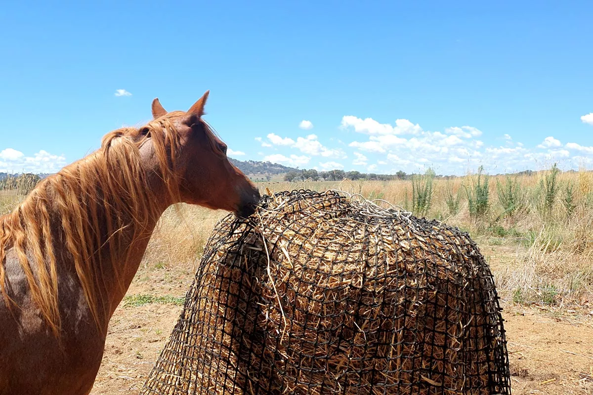 Knotless Hay Nets - 6x4 Round Bale