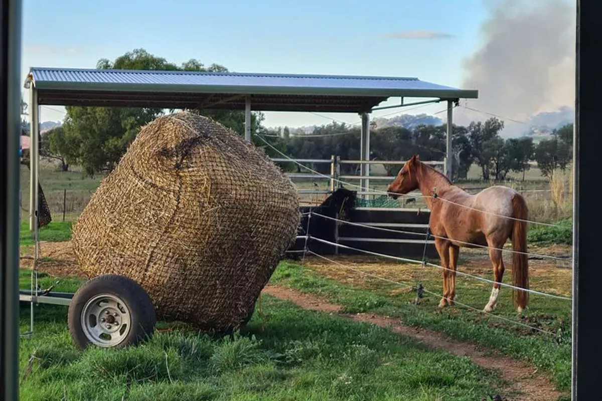Knotted Hay Nets - 4x4 Round Bale Net