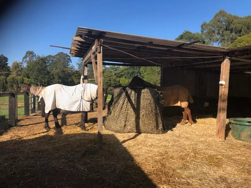 Knotted Hay Nets - 6x4 Round Bale Net