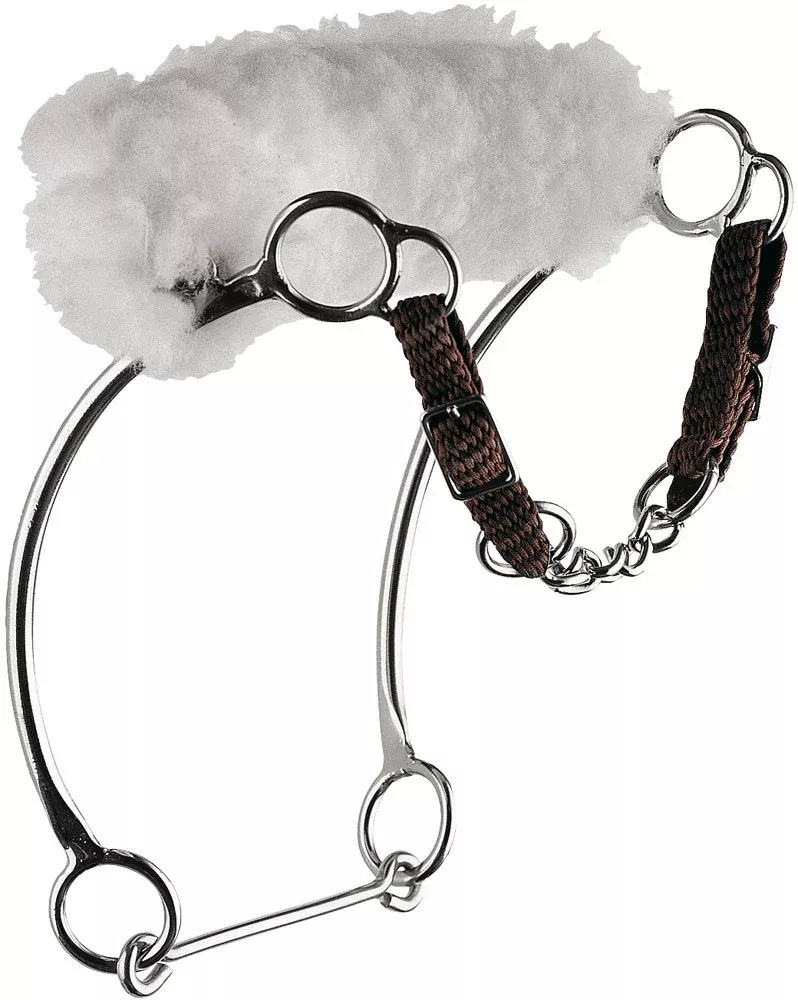 Kombi-Hackamore with Noseband