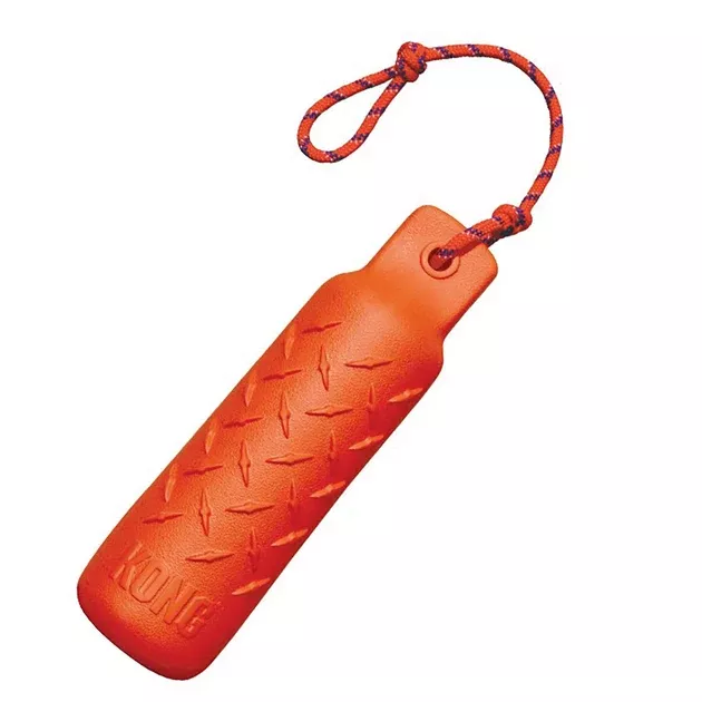Kong Training Dummy
