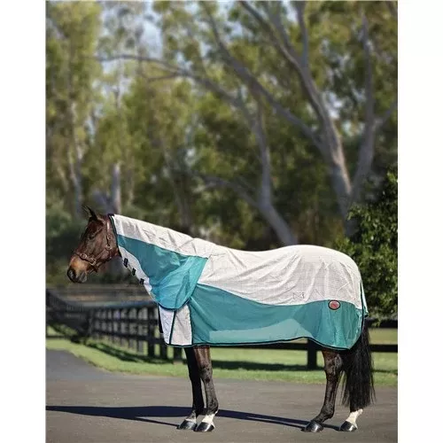 Kool Master Air Max Horse Rug Combo - White /Turquoise