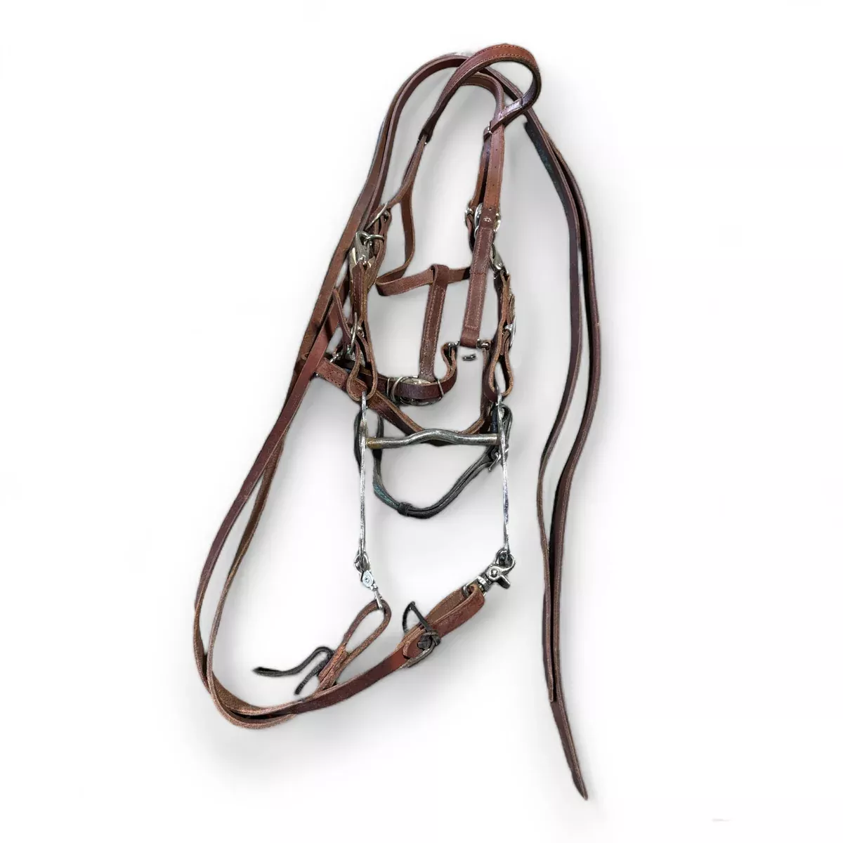 Leather Bridle, Halter and Reins