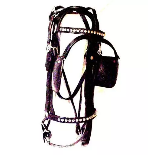 Leather Driving Bridle Overcheck Spotted Draft