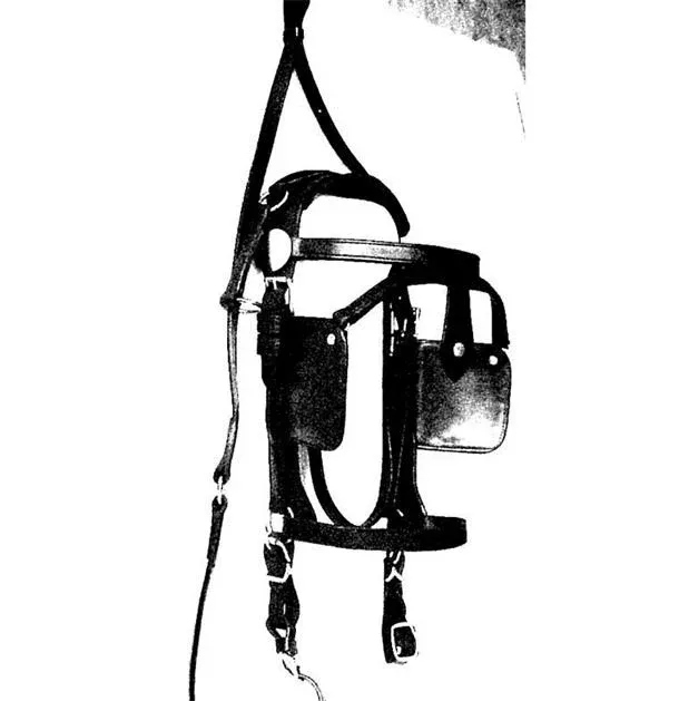 Leather Driving Bridle Plain Draft
